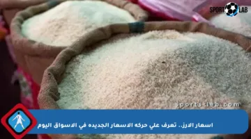 أسعار الأرز.. تعرف على حركة الأسعار الجديدة في الأسواق اليوم